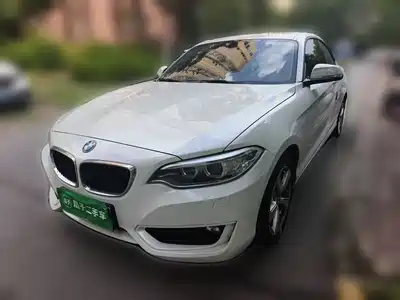 BMW 2 Series (Import) 2015