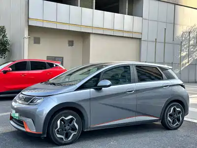 BYD Dolphin 2022