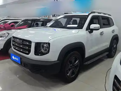 Haval Big Dog 2021