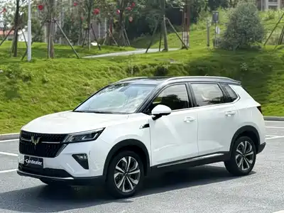 Wuling Motors Xingchen 2022