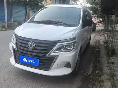 Dongfeng Fengxing Lingzhi 2020