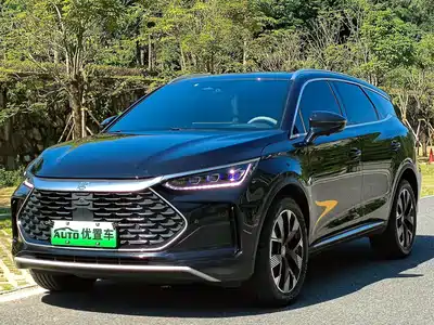 BYD Tang New Energy 2024