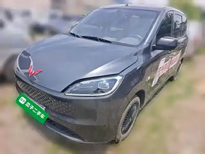 Wuling Motors Hongguang New Energy 2025