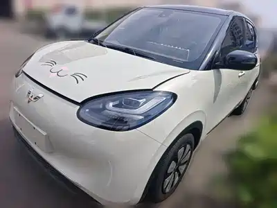 Wuling Motors Bingo 2023