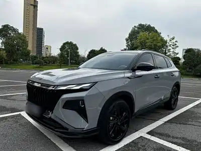 Dongfeng Aeolus Haoji 2022