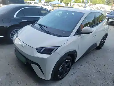 BYD Seagull 2024