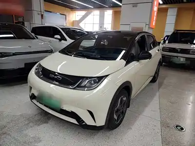 BYD Dolphin 2022