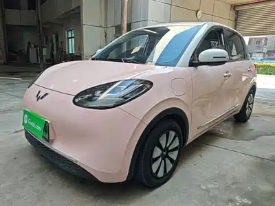Wuling Motors Bingo 2024