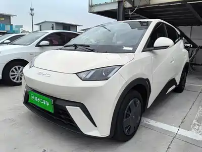 BYD Seagull 2024