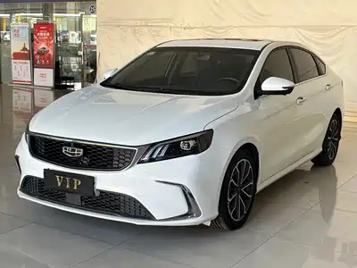 Geely Binrui 2021