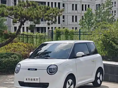 Changan Qiyuan Lumin 2024