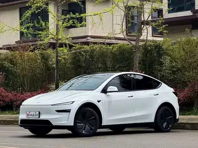 Tesla Model Y 2025