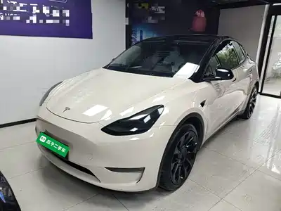 Tesla Model Y 2021