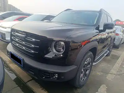 Haval Big Dog 2021