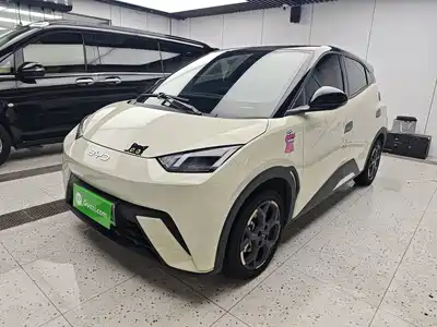 BYD Seagull 2024