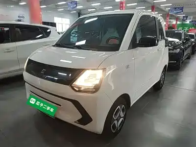 Dongfeng Fengguang MINIEV 2024