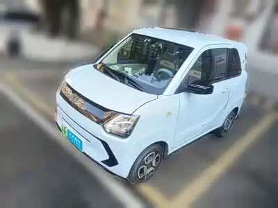 Dongfeng Fengguang MINIEV 2022