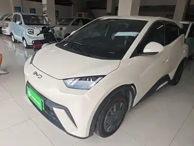 BYD Seagull 2025