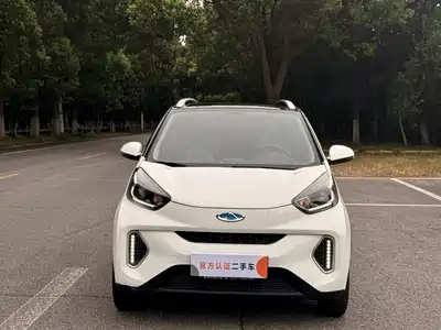 QQ New Energy Little Ant 2021