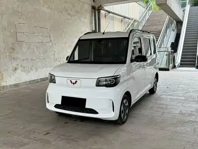 Wuling Motors Zhiguang NEV 2025
