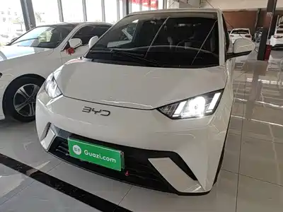 BYD Seagull 2024
