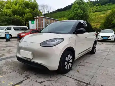 Wuling Motors Bingo 2024