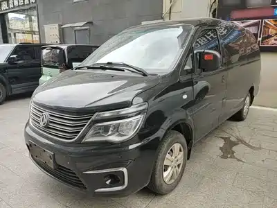 Dongfeng Fengxing Lingzhi 2020