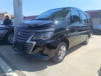 Dongfeng Fengxing Lingzhi 2023
