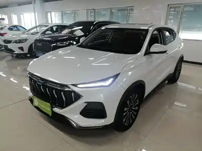 Changan Oshan Oushang X5 2021