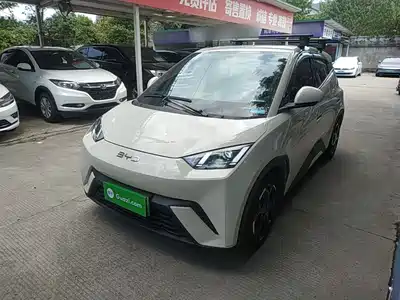 BYD Seagull 2024