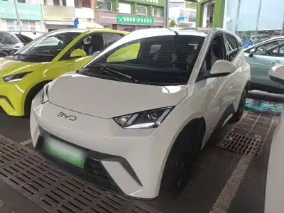 BYD Seagull 2024