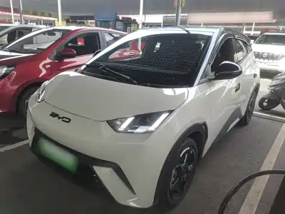 BYD Seagull 2024