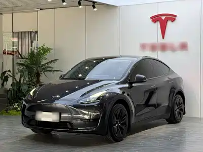 Tesla Model Y 2025