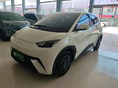 BYD Seagull 2024