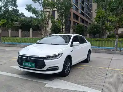 BYD Qin New Energy 2021