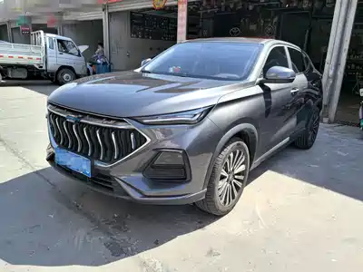 Changan Oshan Oushang X5 2023