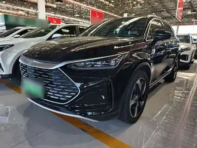 BYD Tang New Energy 2024