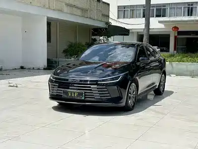 BYD Destroyer 05 2024