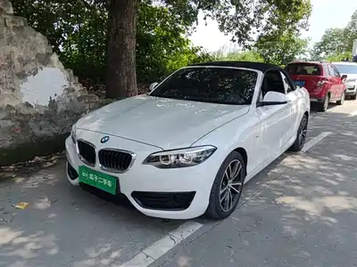 BMW 2 Series (Import) 2017