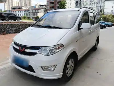 Wuling Motors Hongguang 2017
