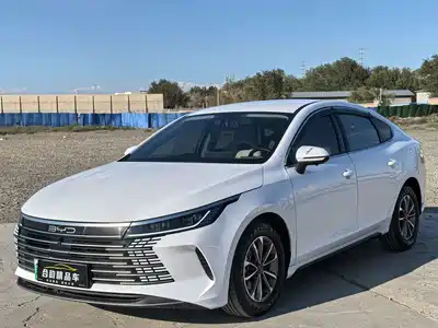 BYD Destroyer 05 2024