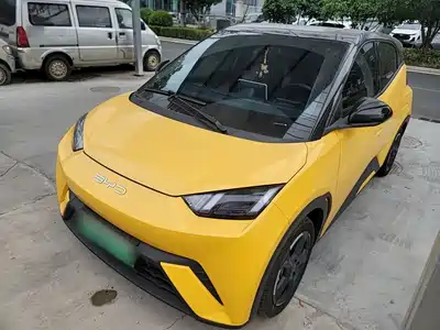 BYD Seagull 2024