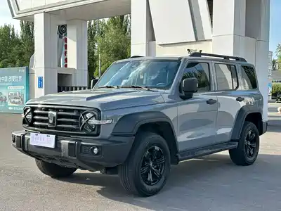 Tank 300 2024