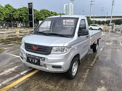 Wuling Motors Rongguang New Truck 2021