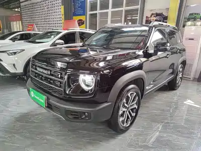 Haval Big Dog 2025
