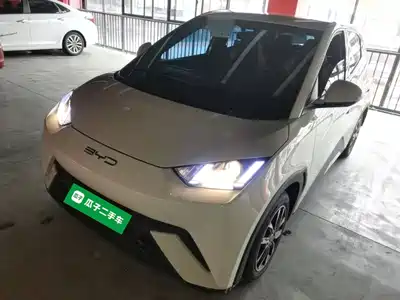 BYD Seagull 2024
