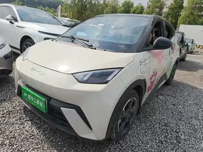 BYD Seagull 2023