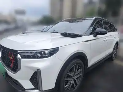 Besturn T99 2021