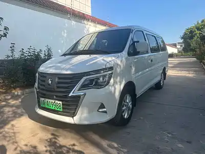 Dongfeng Fengxing Lingzhi New Energy 2023