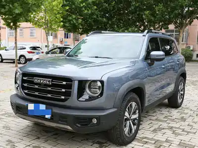 Haval Big Dog 2021